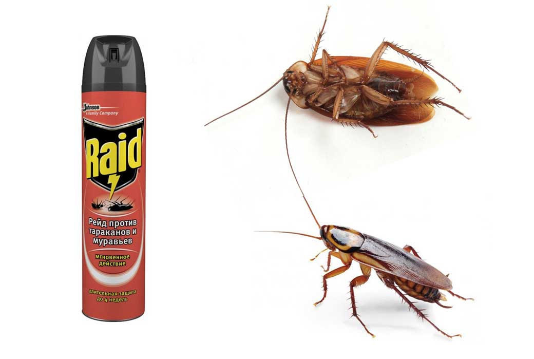 raid от тараканов