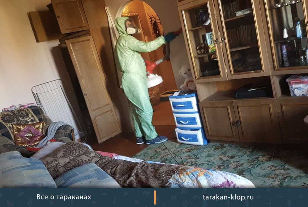 Уничтожение тараканов в квартире Москва